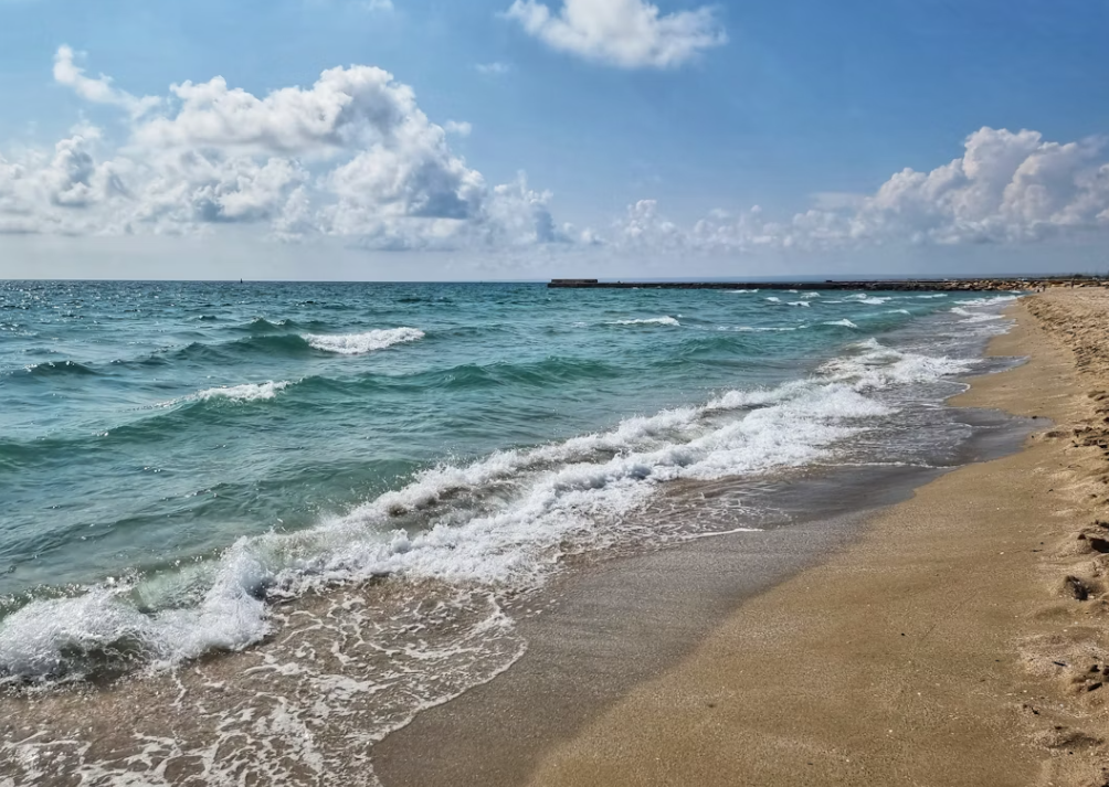 Тематическое фото unsplash.com