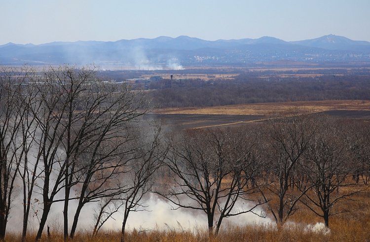 Приморье встретило весну двумя природными пожарами Пресс-служба правительства Приморья