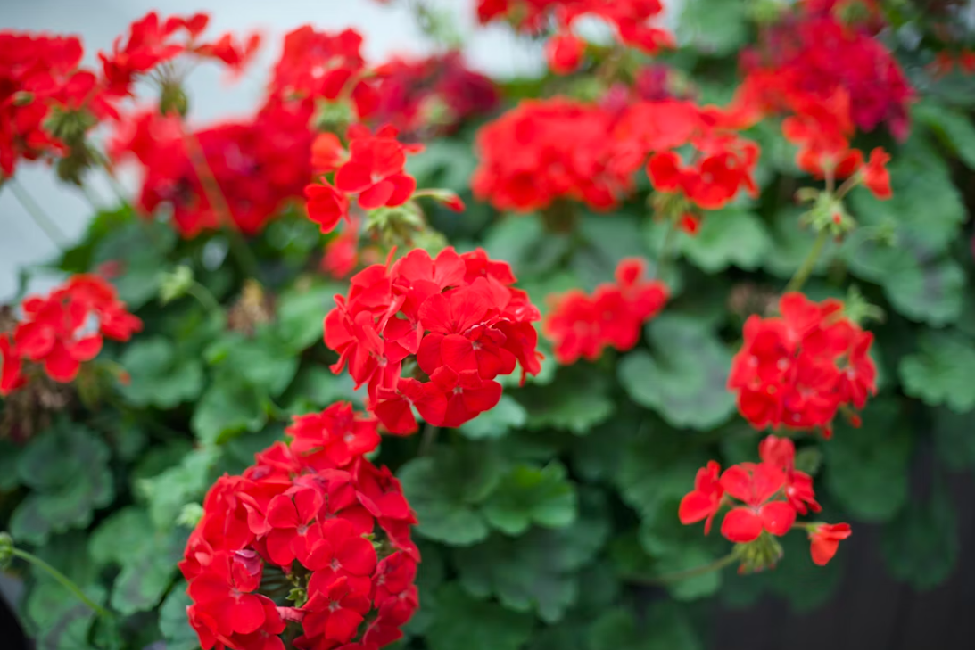 Тематическое фото unsplash (18+)