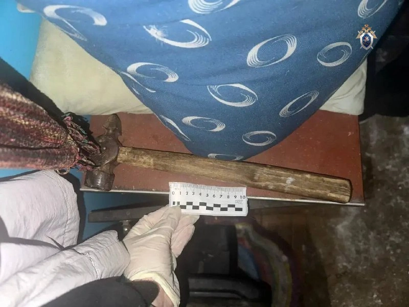 Тематическое фото СУ СК по Хабаровскому краю и ЕАО