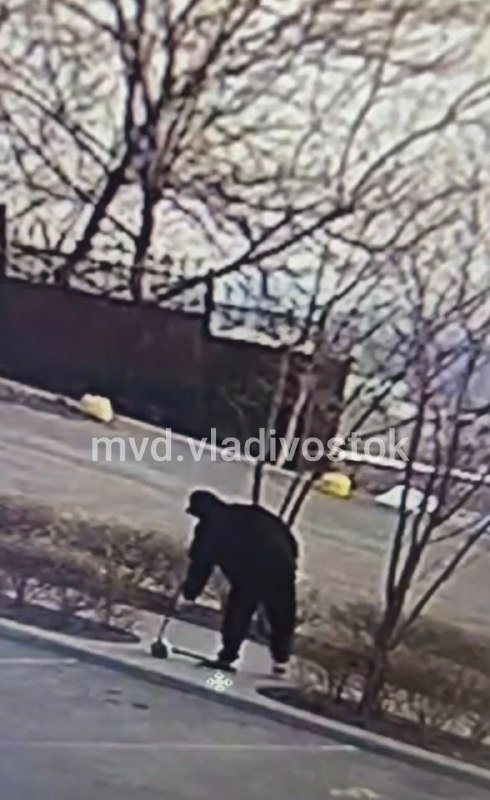 Пресс-служба УМВД России по Приморскому краю