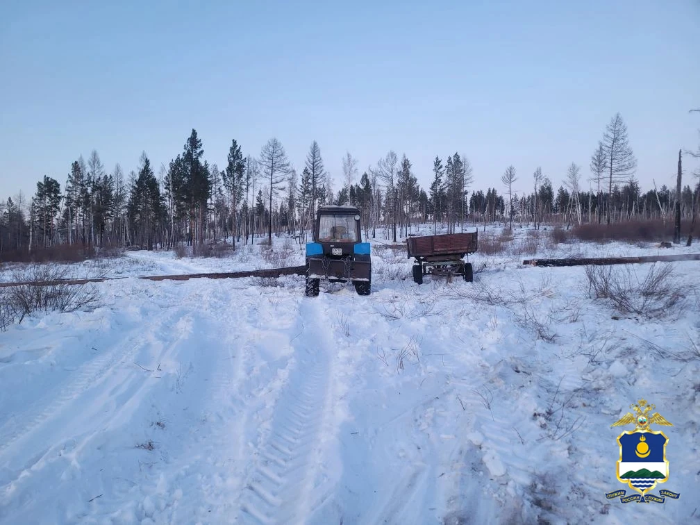 В Бурятии поймали &quotчёрного лесоруба&quot с лиственницей на 640 тыс. рублей МВД по Бурятии