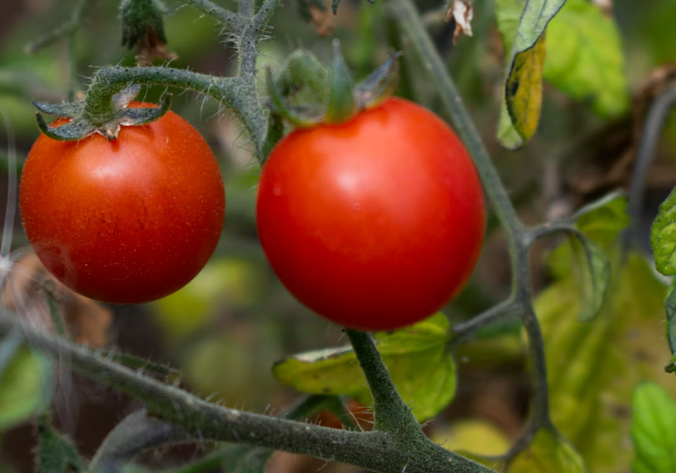 Тематическое фото Unsplash.com (18+)