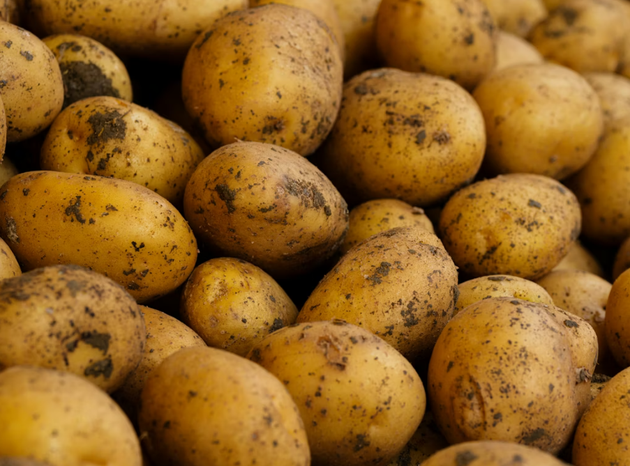 Тематическое фото Unsplash.com (18+)