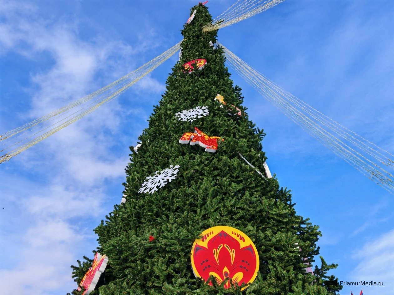 Юлия Ожегова, ИА PriamurMedia