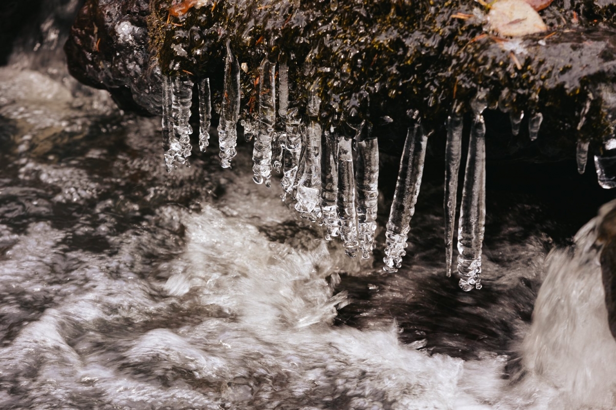 Тематическое фото Яна Гайдук, ИА PrimaMedia.ru