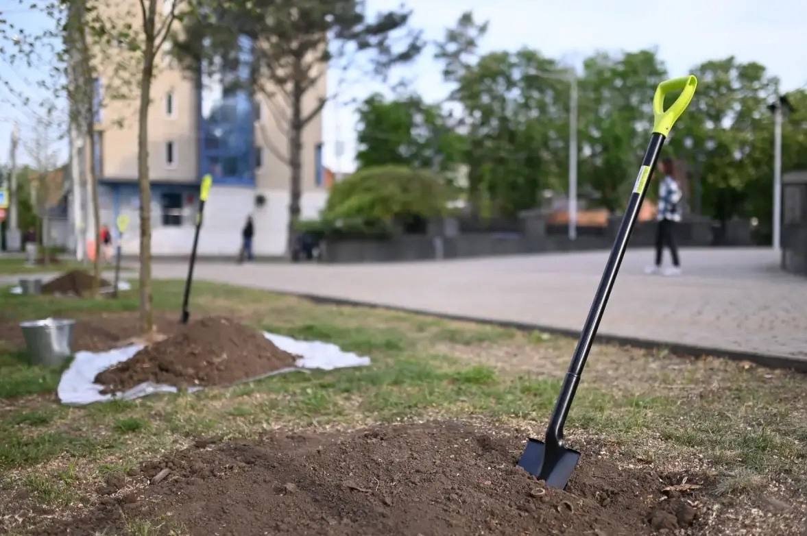 В Краснодаре определили улицы для весеннего озеленения t.me/emnaumov