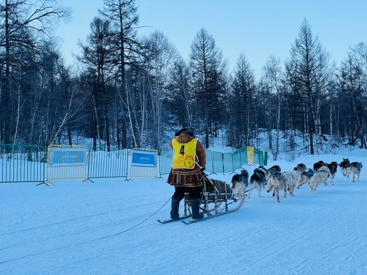 Берингия-2026 Оргкомитет гонки