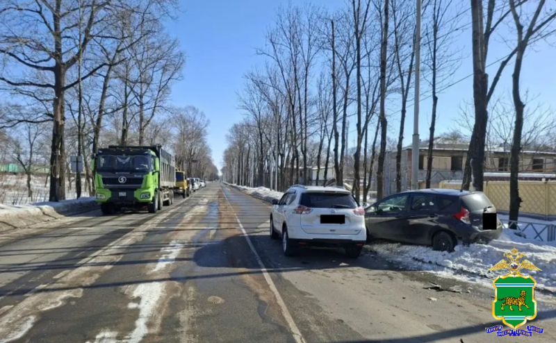 ДТП в Биробиджане областная ГАИ