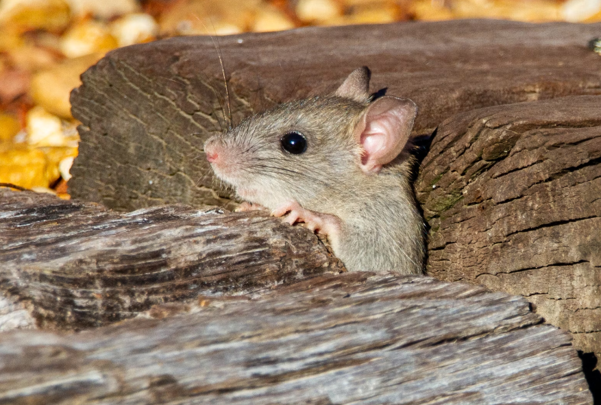 Тематическое фото unsplash.com (18+)