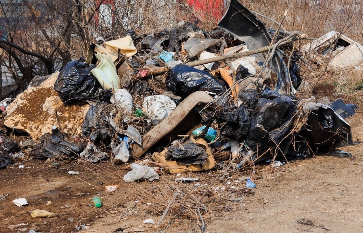 Свалка Евгений Кулешов, ИА PrimaMedia