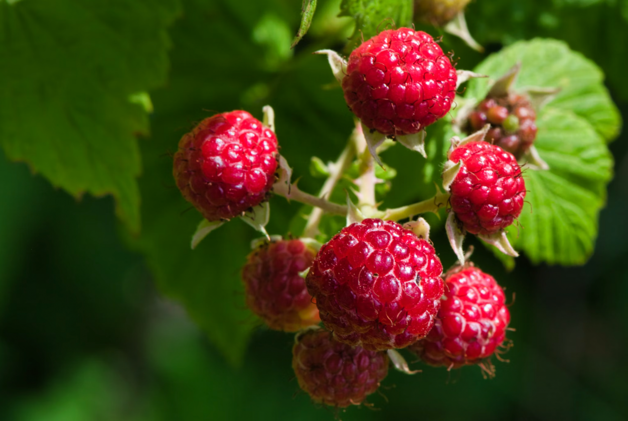 Тематическое фото unsplash (18+)