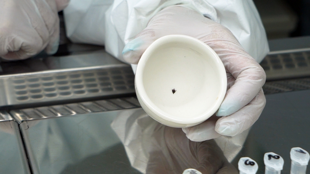 Тематическое фото Пресс-служба правительства Приморского края