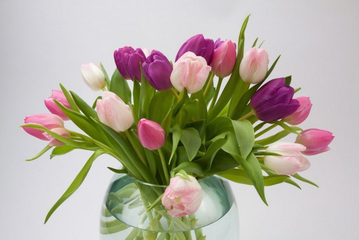 Тематическое фото pxhere.com