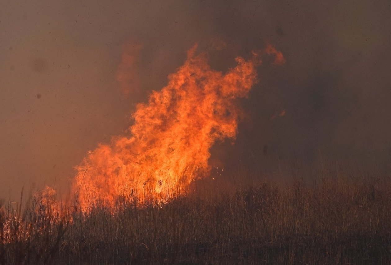 Тематическое фото Евгений Кулешов, ИА PrimaMedia
