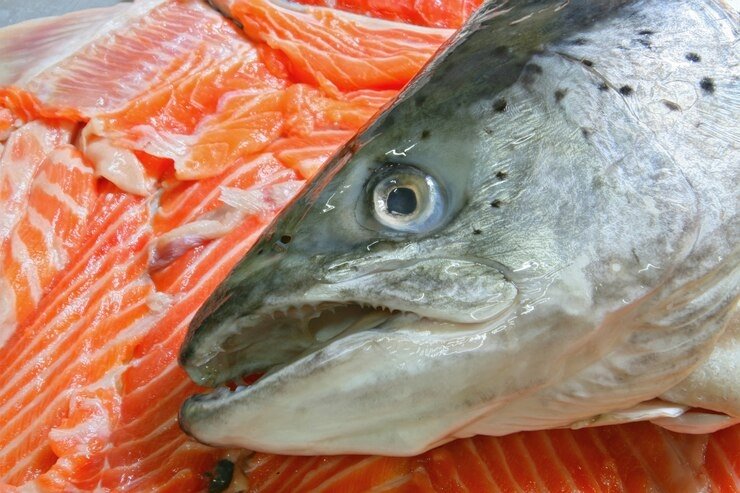 Тематическое фото Прокуратура Магаданской области