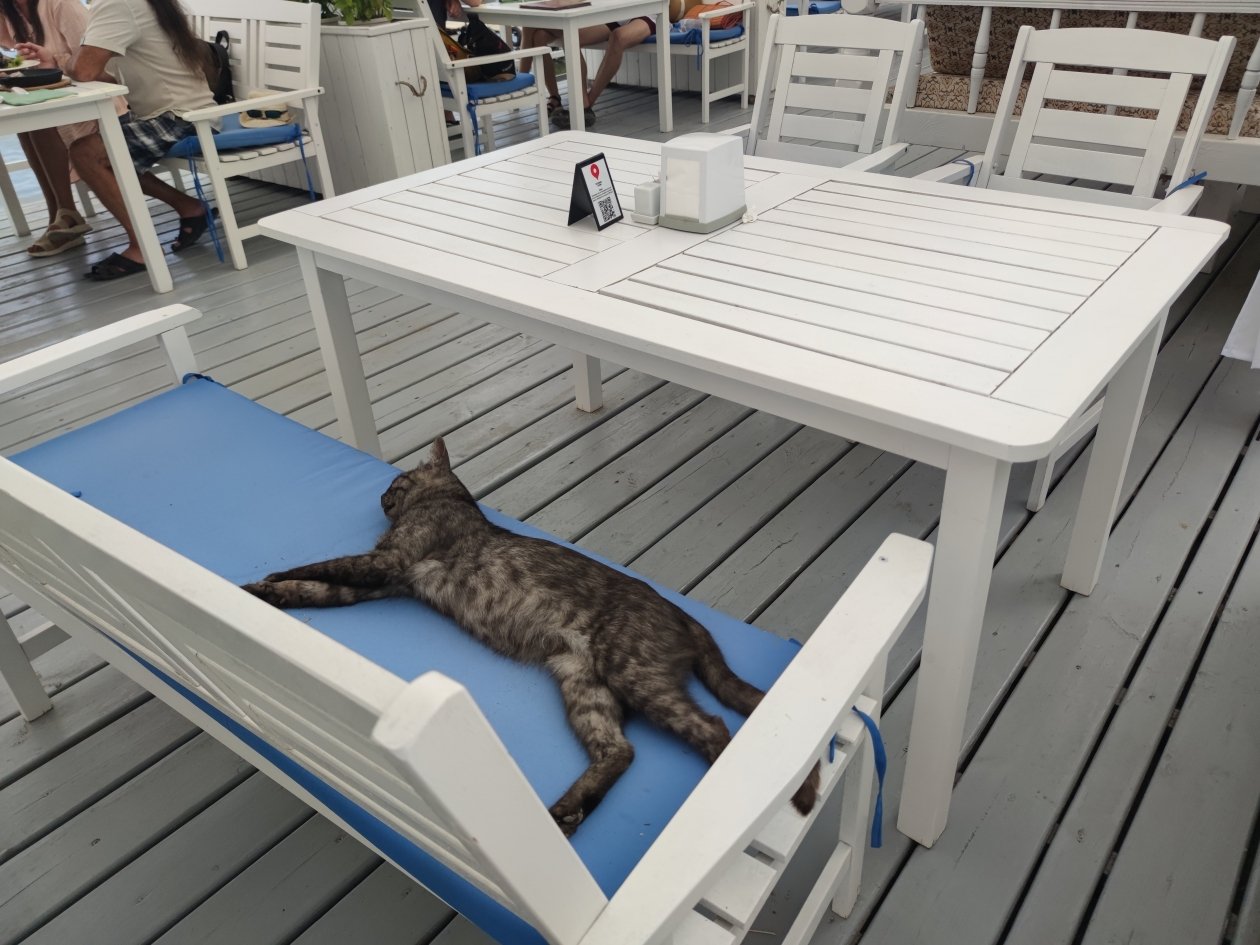 Тематическое фото ИА SevastopolMedia 