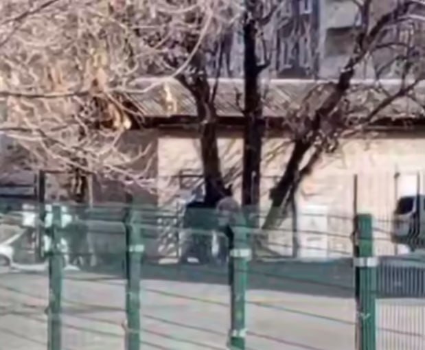 Скриншот видео инцидента Tg-канал (18+) mark2_che