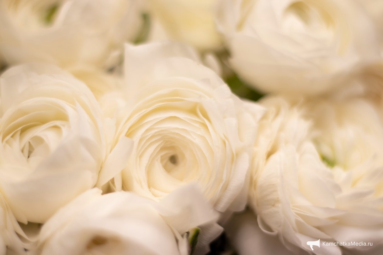 Ирина Васильева, ИА KamchatkaMedia