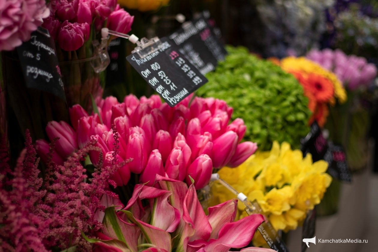 Ирина Васильева, ИА KamchatkaMedia