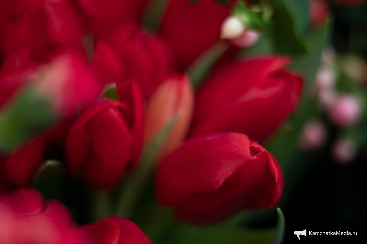 Ирина Васильева, ИА KamchatkaMedia