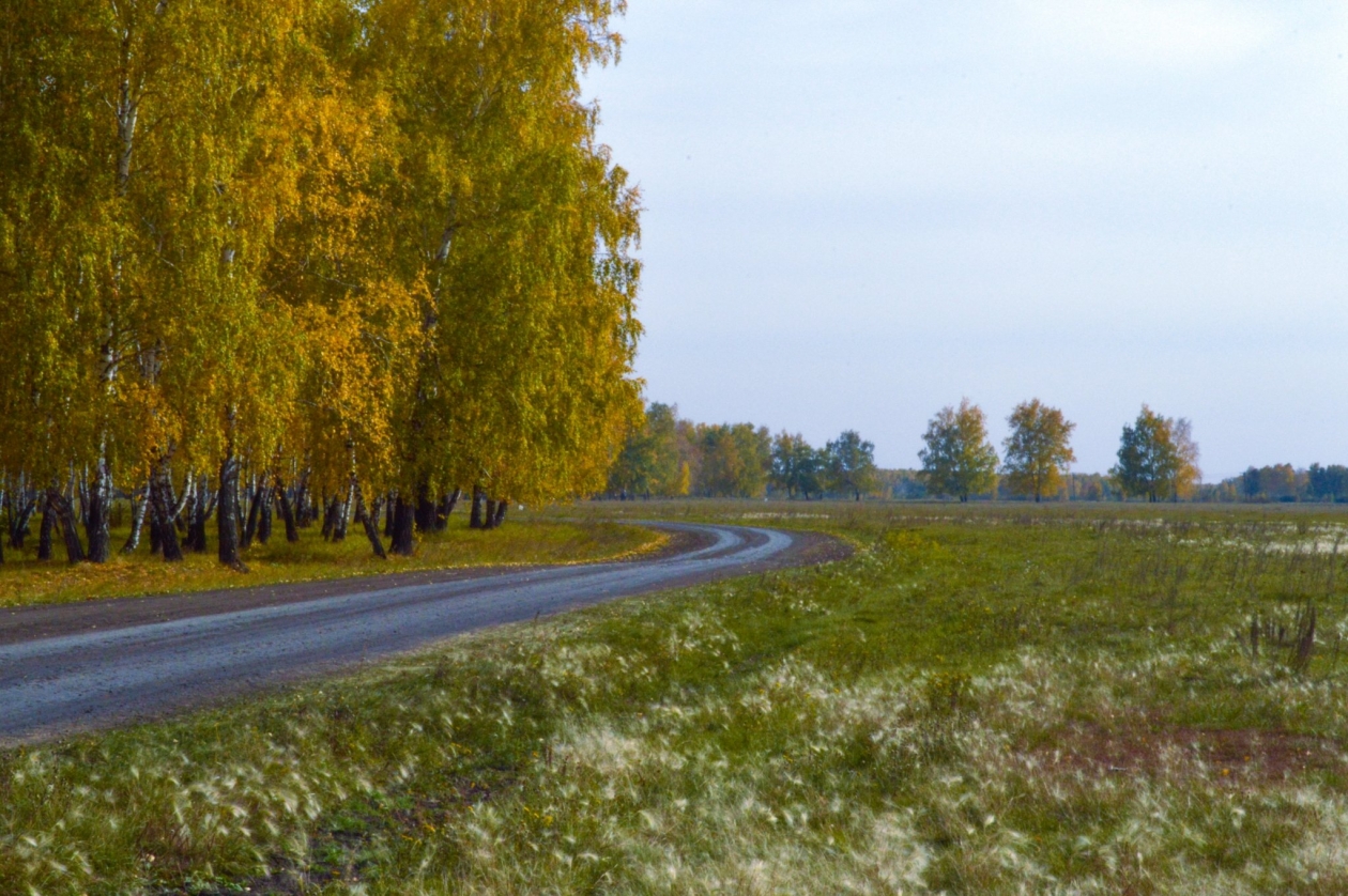 Тематическое фото Евгений Овдеенко, ИА OmskMedia