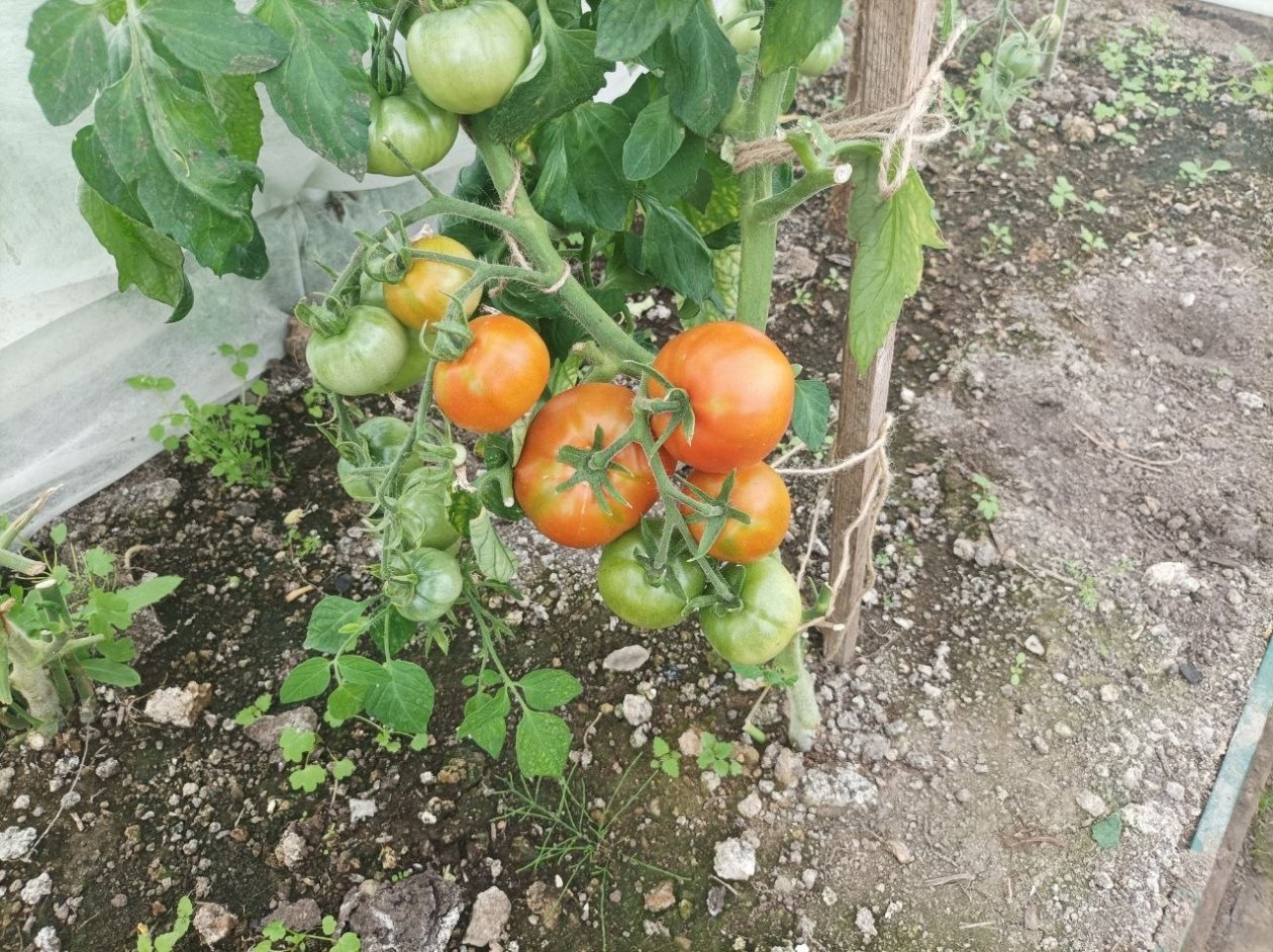 Тематическое фото Фото автора