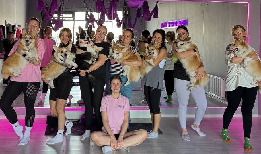 Растяжка с корги на Камчатке Организаторы мероприятия