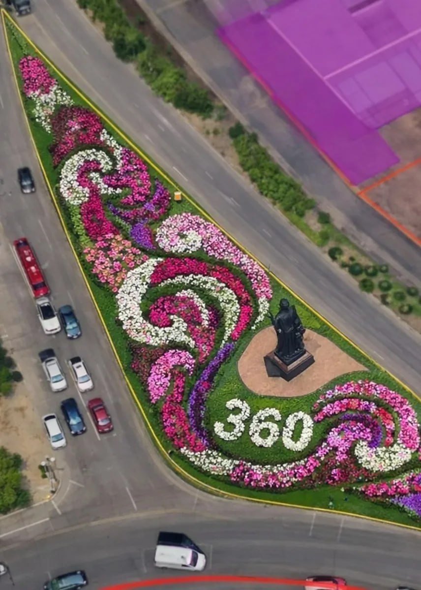 Более 10 сортов петунии зацветут в Улан-Удэ к юбилею города администрация г. Улан-Удэ