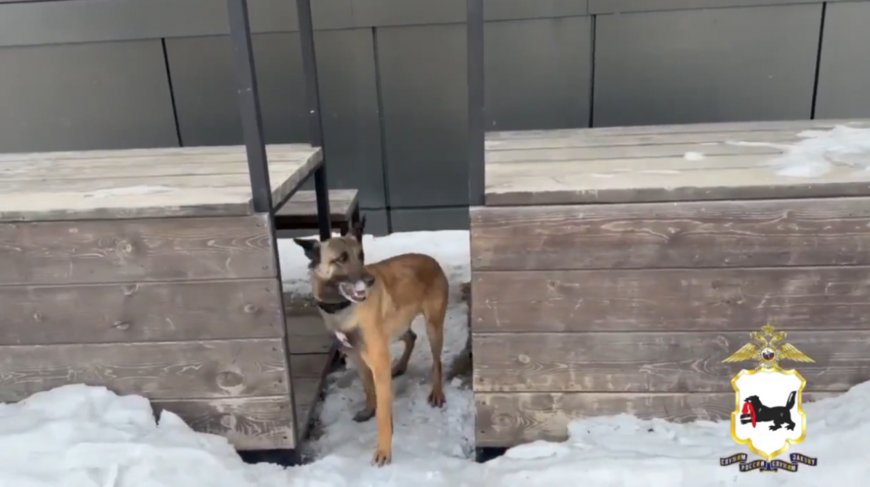 Молодого человека с судимостью задержали в Иркутске при сбыте наркотиков Пресс-служба ГУ МВД России по Иркутской области