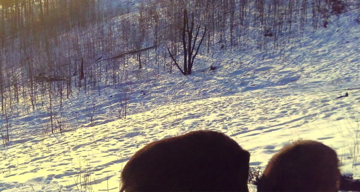 тг-канал (18+) Минприроды Забайкалья