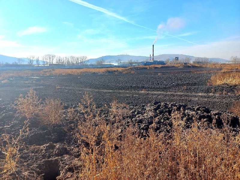 Иловое поле тг-канал (18+) Амурской бассейновой природоохранной прокуратуры