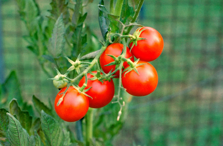 Тематическое фото Unsplash.com (18+)