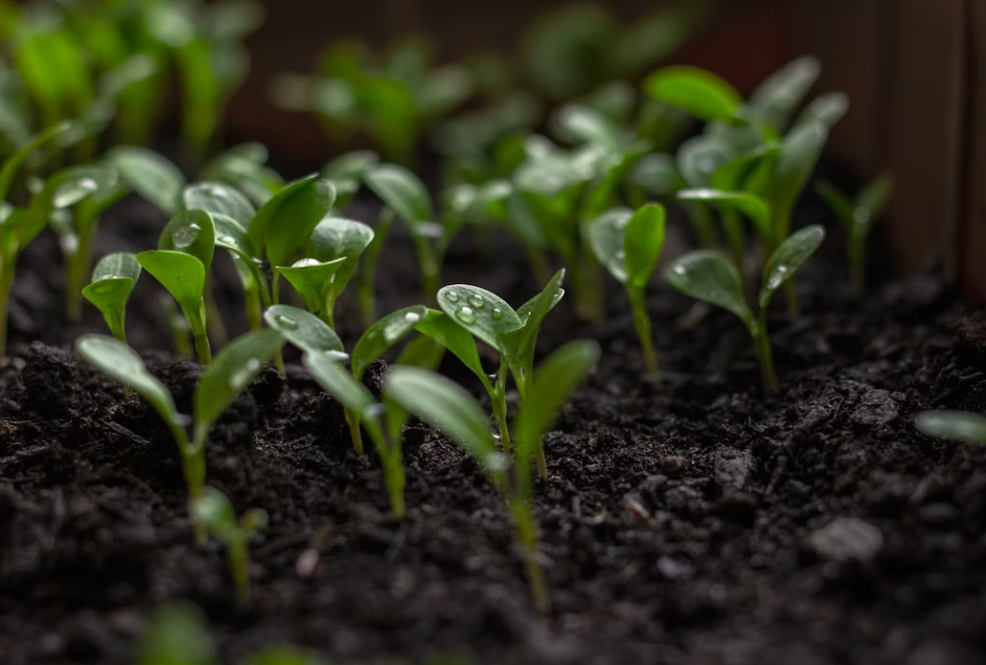 Тематическое фото Unsplash.com (18+)