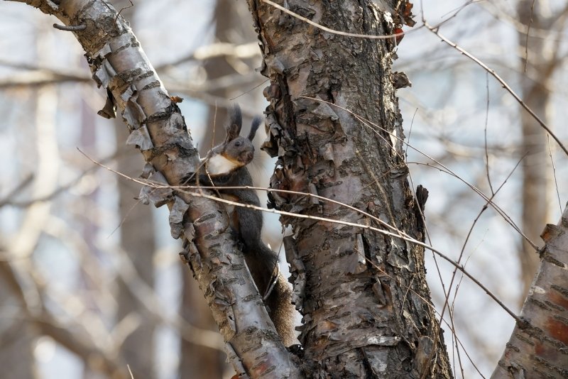 Антициклон принесет холод и остановит дожди в Краснодарском крае Александр Хитров