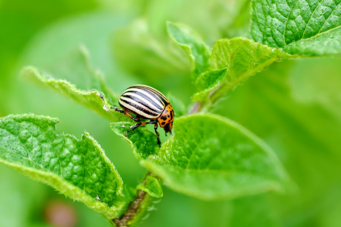 Тематическое фото unsplash (18+)