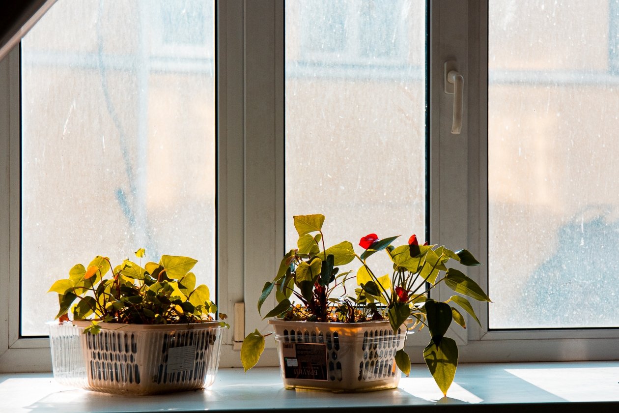 Бастрыкин ждёт доклад по делу об отказе в жилье матери инвалида на Ставрополье Илья Аверьянов, ИА PrimaMedia.ru