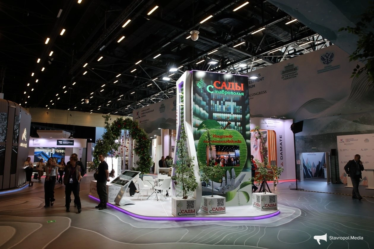 К КИФ-2026 готовятся на Ставрополье ИА Stavropol.Media