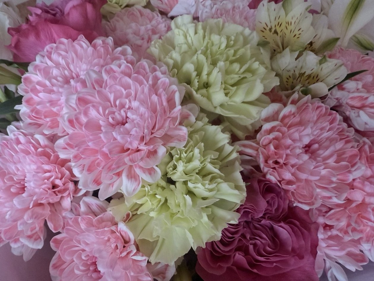 Флорист раскрыла секрет, как сохранить букет после 8 Марта надолго Марина Кудрявцева, ИА UssurMedia