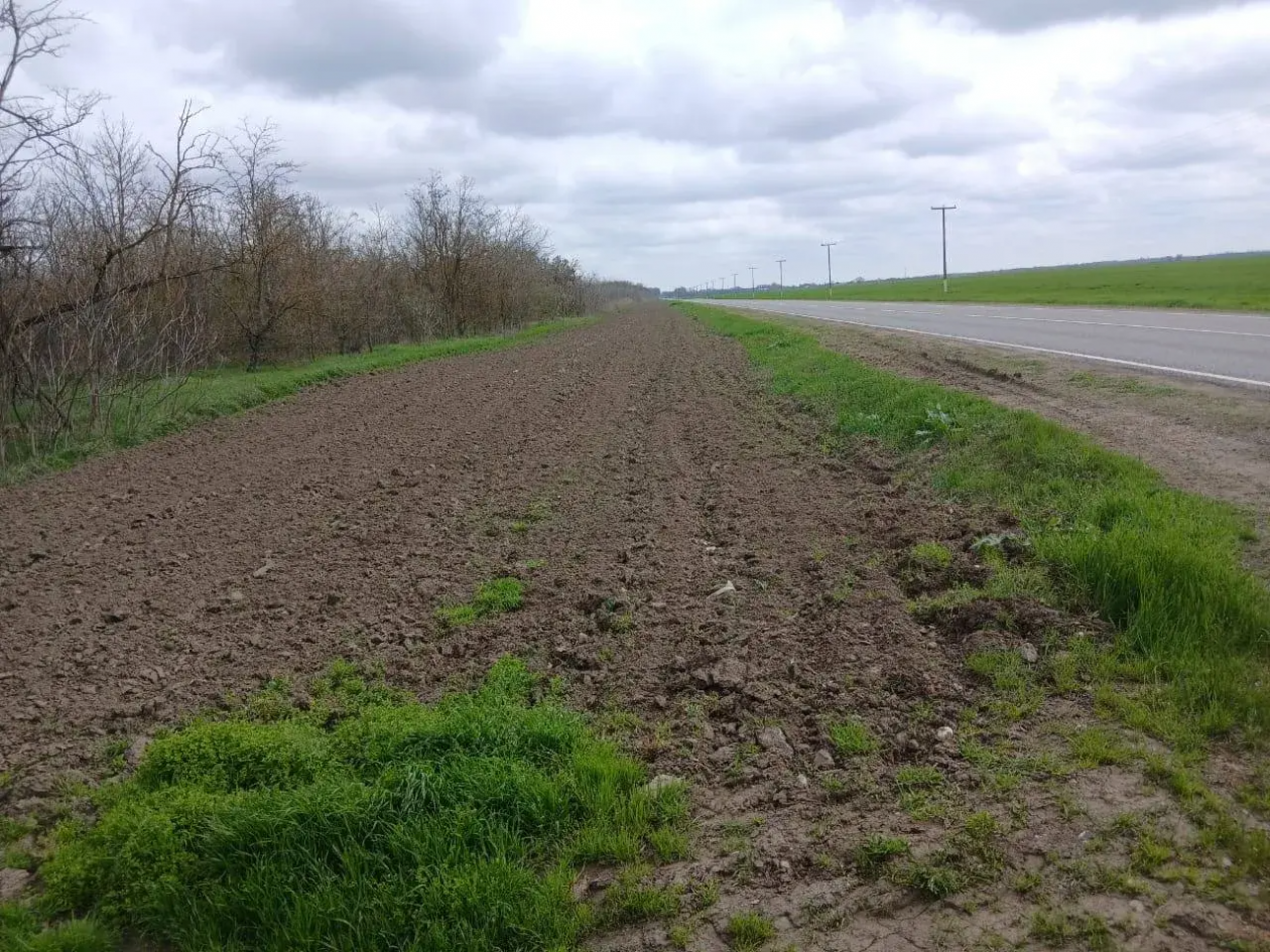 Работы по защите лесов от пожаров стартовали на Ставрополье Минприроды Ставрополья