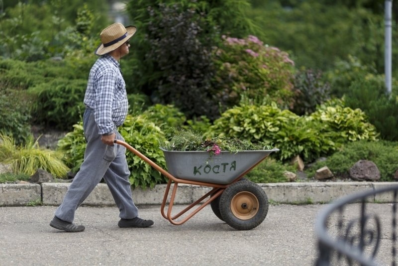 Дачник Александр Хитров, ИА PrimaMedia