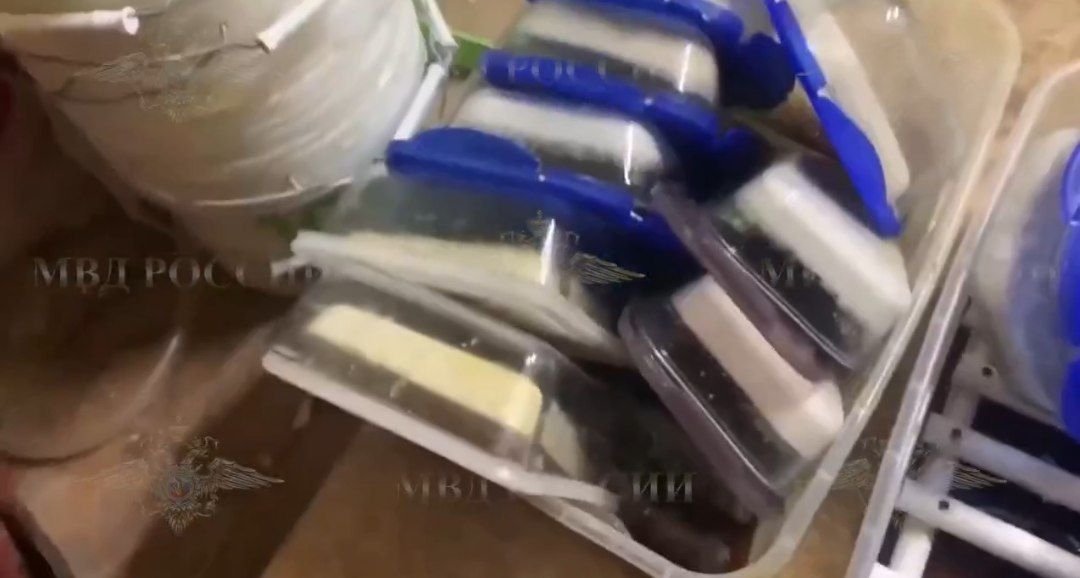 Нарколаборатория Тг-канал (18+) Ирины Волк