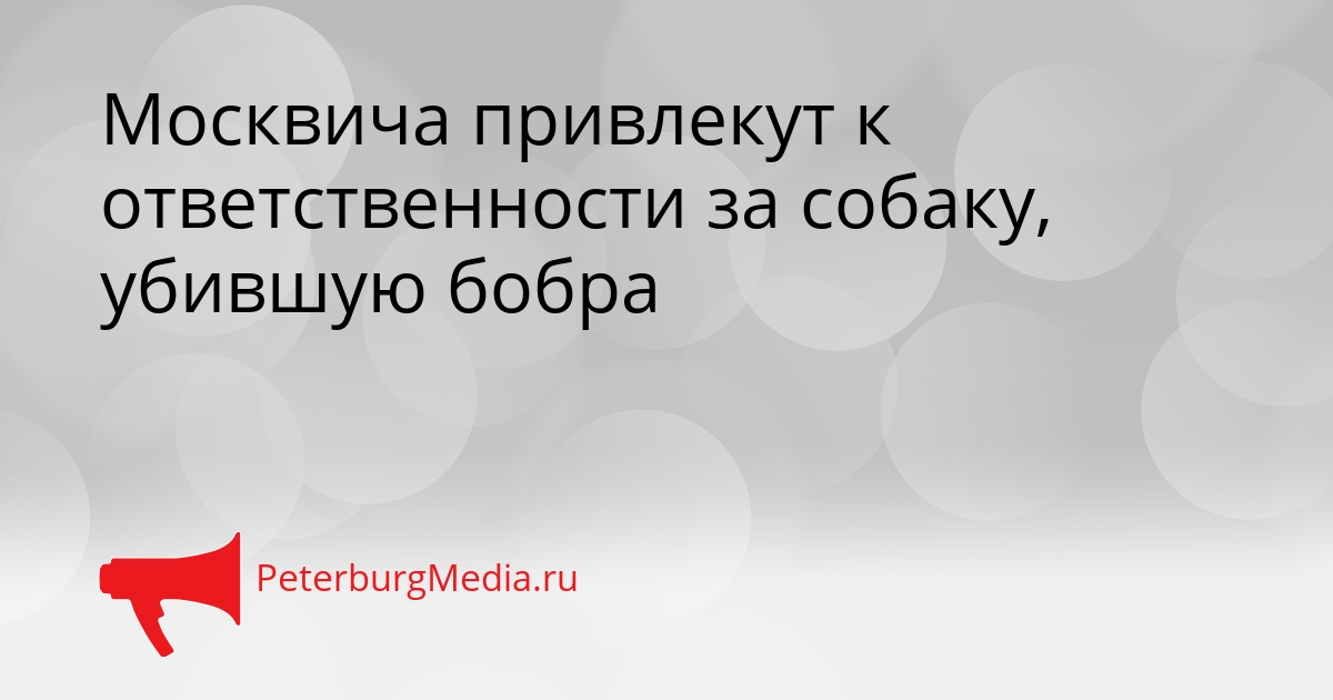 Москвича привлекут к ответственности за собаку, убившую бобра Сгенерировано