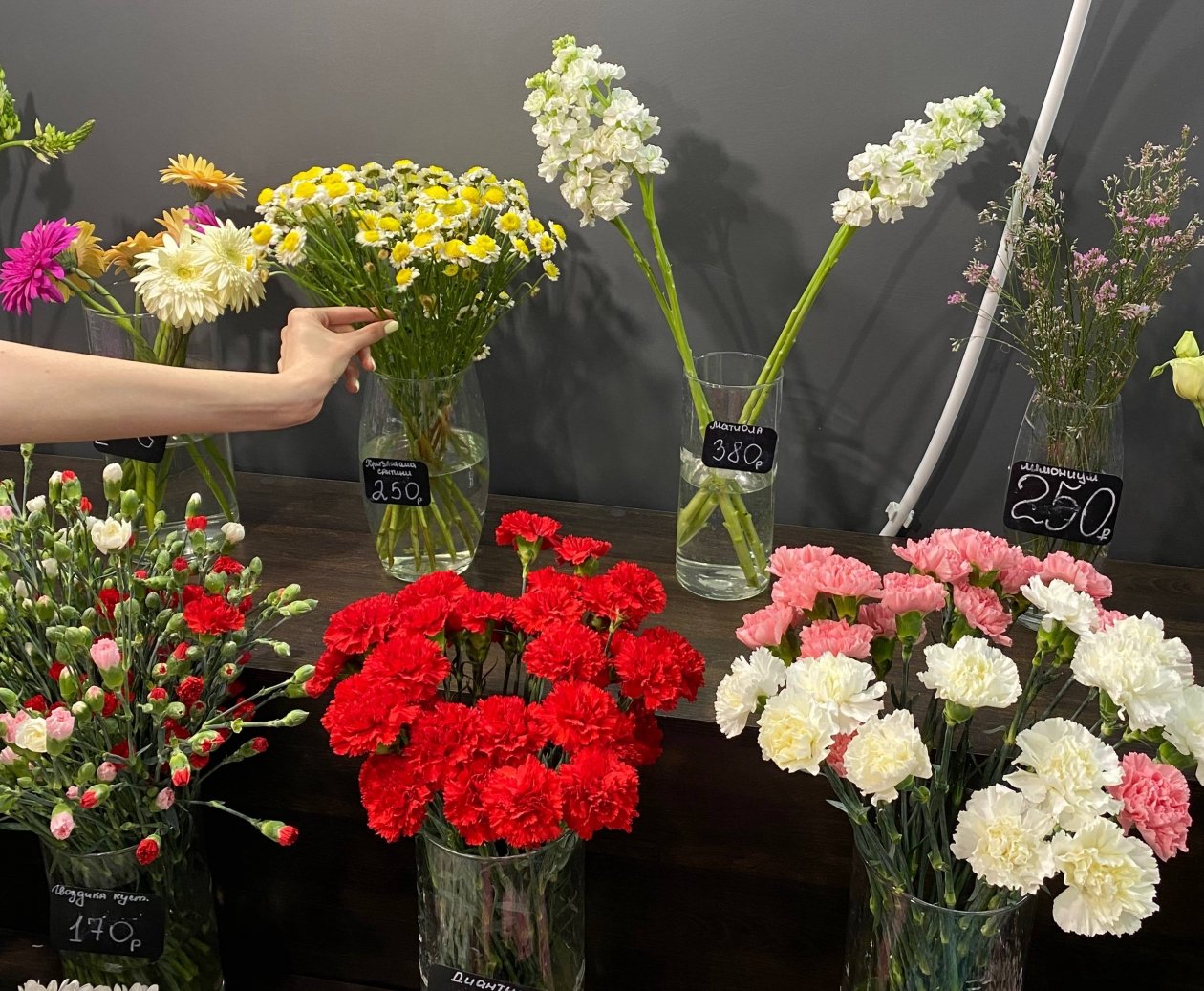 Тематическое фото &quotИА PrimaMedia&quot