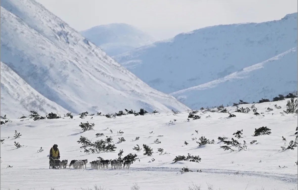 Берингия-2026 Оргкомитет гонки