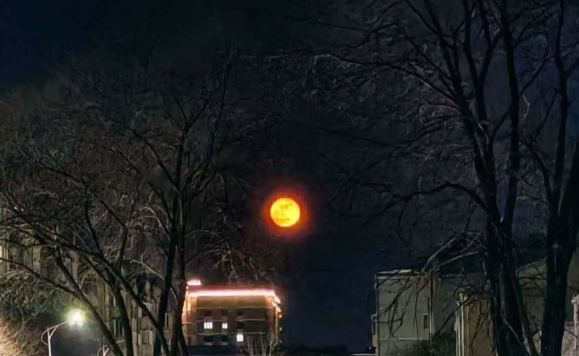 Кровавая Луна в Благовещенске Юлия Ожегова, ИАPriamurmedia