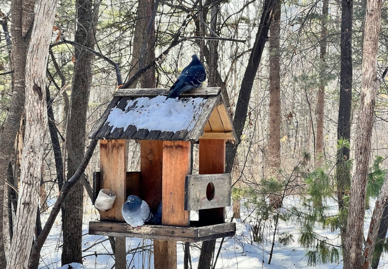 Тематическое фото РегСтройКом