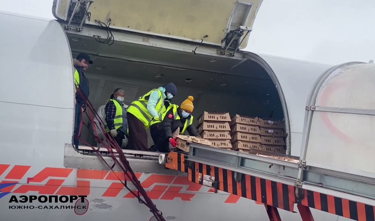 В Южно-Сахалинск доставили более 80 тыс. племенных цыплят пресс-служба аэропорта Южно-Сахалинск