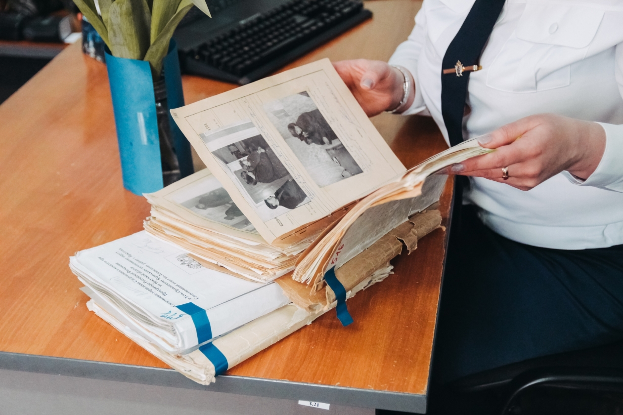 Отец и сын сбили знакомого на автомобиле и нанесли травмы в Якутске Юлия Ушакова, ИА IrkutskMedia