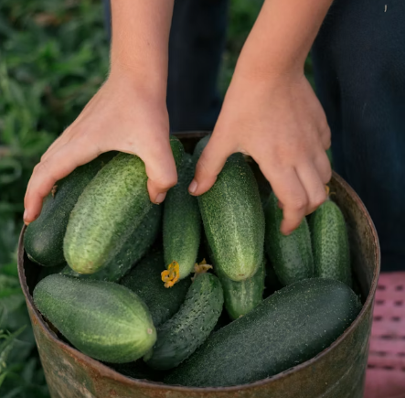 Тематическое фото Unsplash.com (18+)